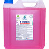 Limpiador de Superficies Fiordo Primavera 5 litros